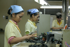 Công ty TNHH Sankoh Việt Nam 100% vốn Nhật Bản đã mở rộng dây chuyền sản xuất tại huyện Lạc Sơn, giải quyết việc làm cho 500 lao động, góp phần chuyển dịch cơ cấu kinh tế địa phương.