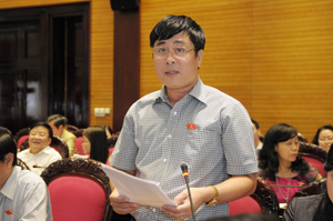 Đại biểu Quốc hội Nguyễn Cao Sơn phát biểu tại hội trường.