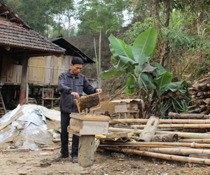 Nông dân xóm Yên Tân, xã Lạc Lương (Yên Thủy) trồng rừng kết hợp nuôi ong lấy mật mang lại hiệu quả kinh tế cao. 

 
