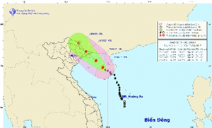 Bão Kujira gây ảnh hưởng đến khu vực tỉnh Quảng Ninh có gió mạnh dần lên cấp 6-7, giật cấp 8-9.