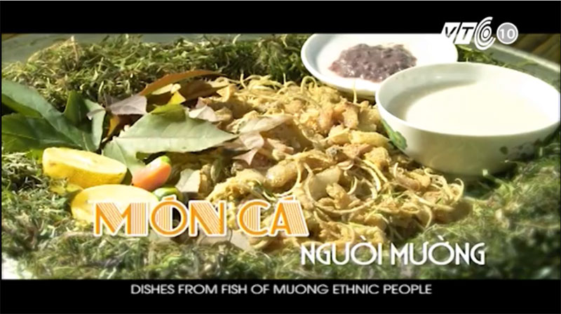 Dishes from fish of Muong ethnic people