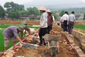 Dự án tăng cường nănng lực hệ thống sản xuất giống lúa nhân dân tỉnh giai đoạn 2010-2015 tại xóm Vôi, xã Liên Vũ (Lạc Sơn) đang được đôn đốc đẩy nhanh tiến độ thực hiện.