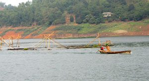 Xã Ngòi Hoa (Tân Lạc) phát triển nghề nuôi cá lồng  trên vùng hồ sông Đà.