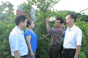 Cán bộ Đảng ủy, UBND xã Tân Thành (Lương Sơn) thăm mô hình phát triển kinh tế hiệu quả của gia đình ông Trần Ngọc Long.


