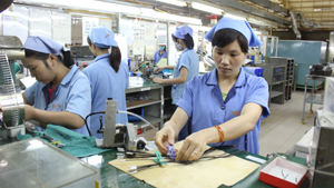 Công ty TNHH Sankoh Việt Nam chú trọng thi đua cải thiện điều kiện làm việc cho người lao động.


