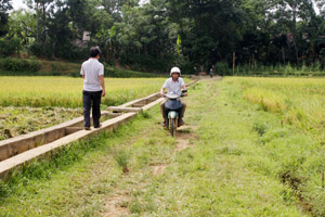 Tuy thuộc vùng huyện nhưng xã Định Cư (Lạc Sơn) gặp nhiều khó khăn trong xây dựng NTM. Hiện, giao thông là một trong những vấn đề mà bà con nơi đây rất trăn trở. ảnh chụp tại đoạn đường từ xóm Mương Hạ Trong đi xóm Mương Hạ Ngoài.