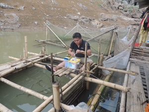 Cán bộ chi cục Thủy sản lẫy mẫu kiểm tra, phân tích nguyên nhân cá chết làng loại trên vùng hồ thủy điện Hòa Bình địa phận xã Phúc Sạn (Mai Châu).