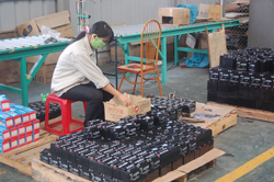 Các doanh nghiệp tại KCN Lương Sơn tạo việc làm và thu nhập ổn định cho trên 800 lao động địa phương