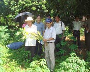 Cán bộ kỹ thuật đánh giá cây đậu tương thuộc Dự án “Xây dựng mô hình sản xuất sắn bền vững tại xã Hương Nhượng, huyện Lạc Sơn, tỉnh Hòa Bình”.
