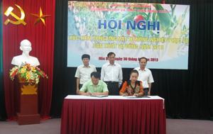 Tại hội nghị, đại diện Công ty Giống cây trồng Thái Bình và UBND huyện Kim Bôi đã ký kết hợp đồng cung cấp - sử dụng sản phẩm giống ngô lai VS36 trong vụ đông 2013.