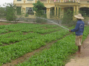 Học viên Trung tâm giáo dục chữa bệnh Lạc Sơn, trồng rau xanh để cải thiện bữa ăn hàng ngày.