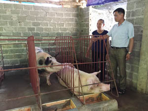 Cán bộ Hội Nông dân xã Tân Pheo (Đà Bắc) trao đổi, hướng dẫn kỹ thuật chăn nuôi cho hội viên.
