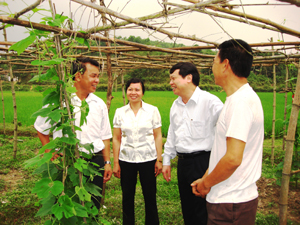 HTX NN xã Nhuận Trạch (Lương Sơn) đưa một số loại cây mới vào gieo trồng cho hiệu quả cao.