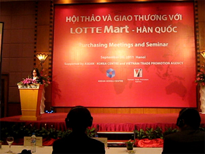 Bà Lê Hoàng Oanh phát biểu khai mạc hội thảo.