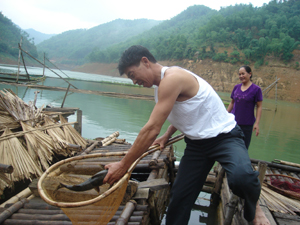 Hộ nghèo vùng hồ xã Phúc Sạn (Mai Châu) hưởng lợi từ chương trình hỗ trợ nuôi cá lồng.
