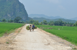 Hệ thống đường GTNT xã Phú Lão (Lạc Thuỷ) được cứng hoá đảm bảo cho nhân dân đi lại và giao lưu hàng hoá.